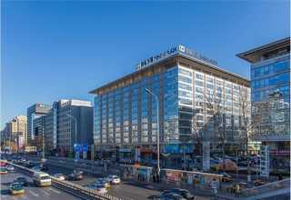 广东新世纪牙托粉型号